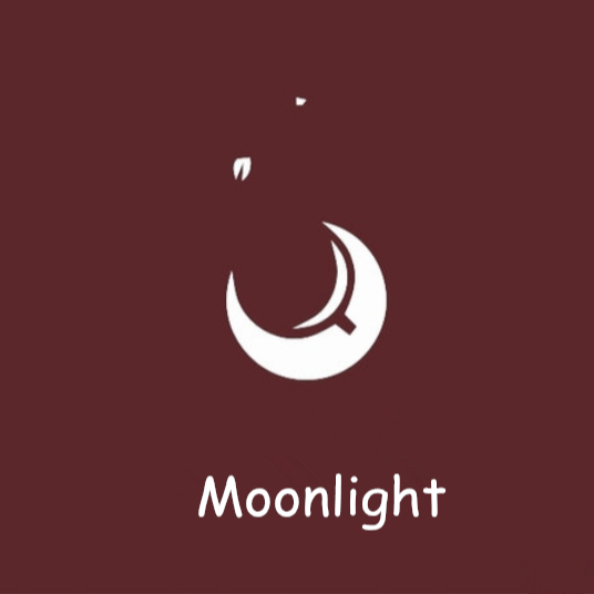 Moonlight Store Official Store in Singapore, Online Shop 04 2025