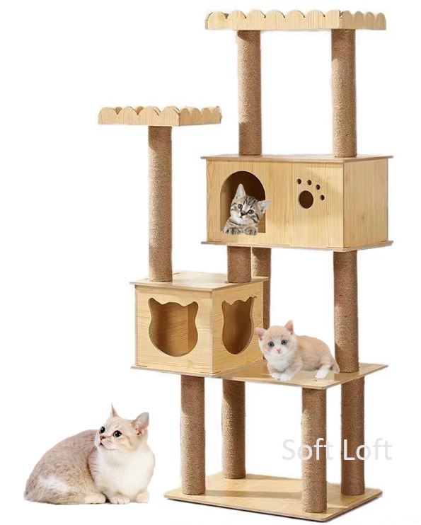 cat condo lazada