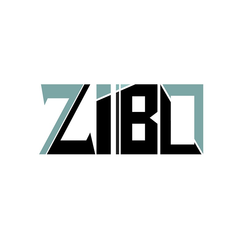 Zibo Communication Official Store in Singapore, Online Shop 04 2025