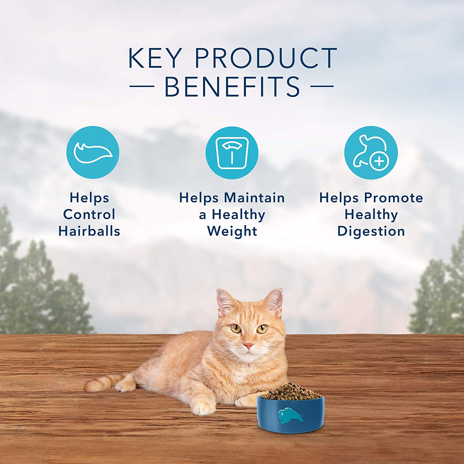 blue indoor hairball and weight control