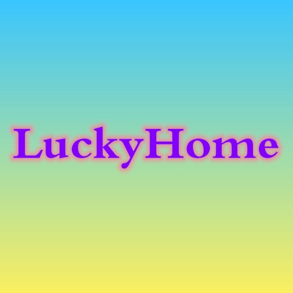 Lucky Home Official Store in Singapore, Online Shop 09 2024