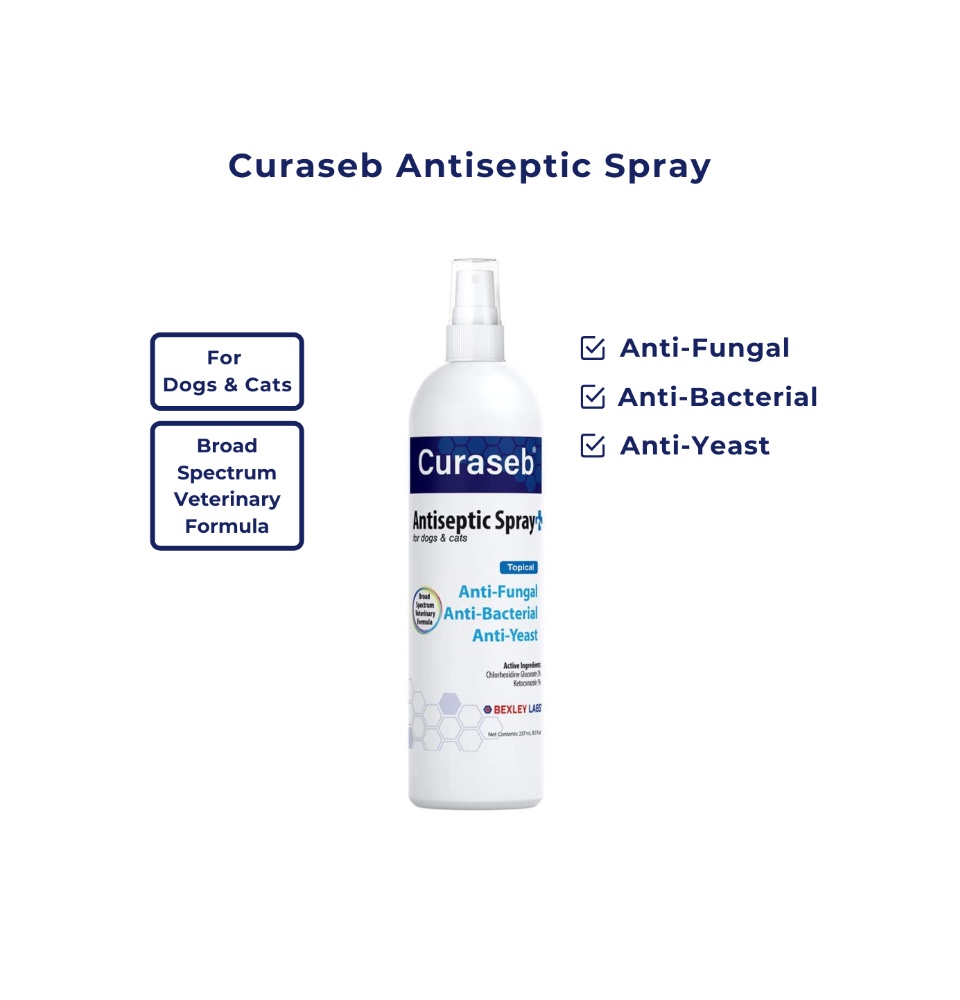 Curaseb Antiseptic Spray Anti Fungal Anti Bacterial and Anti Yeast Formula for cats and dogs Lazada Singapore