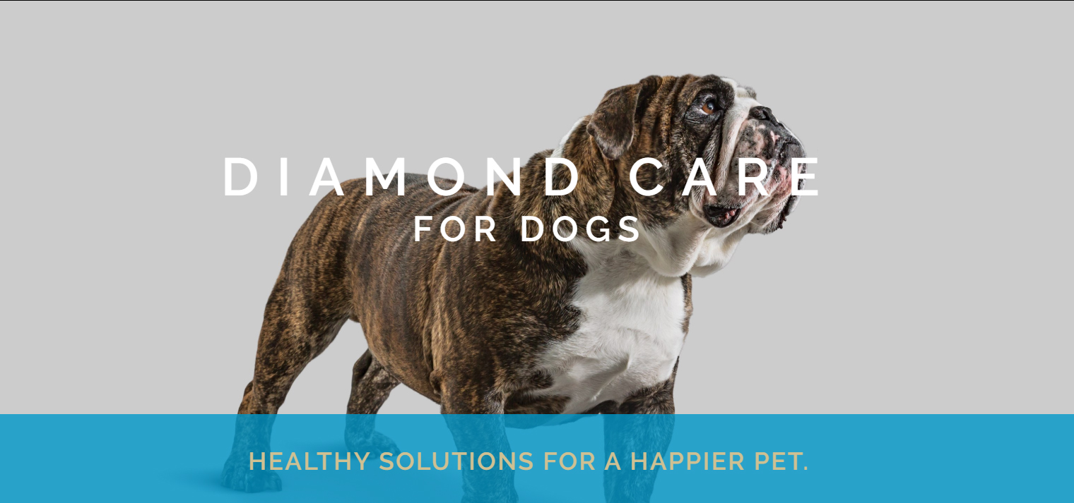 diamond care sensitive skin formula dog food