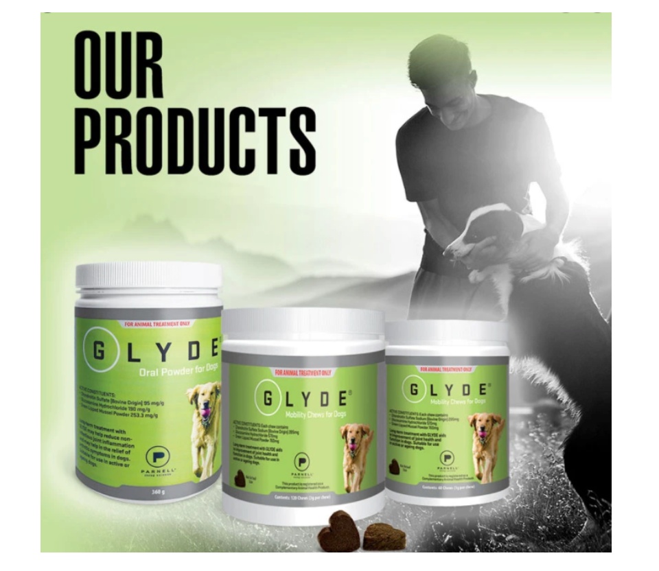 glyde oral powder for dogs