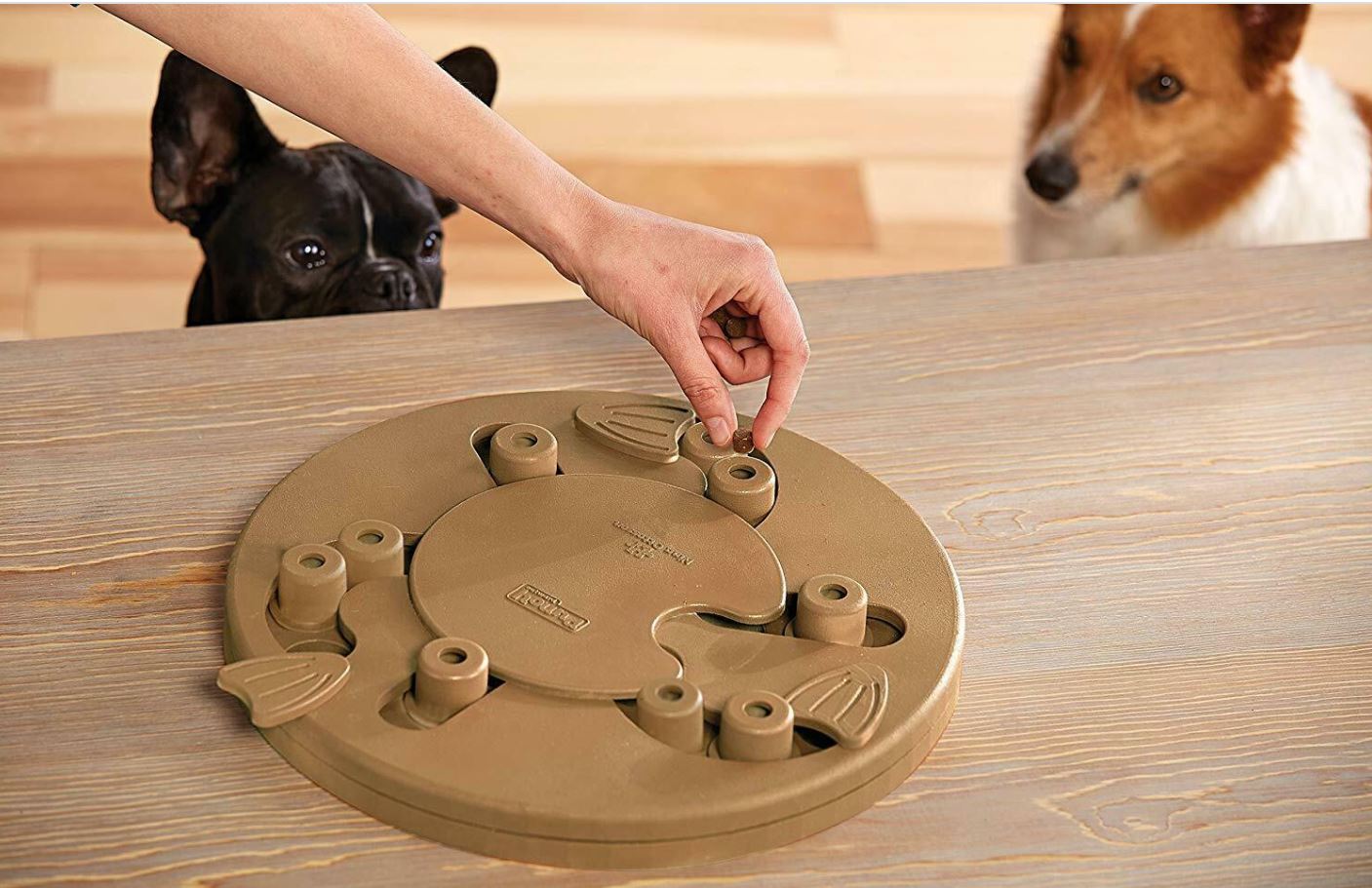 dog worker puzzle