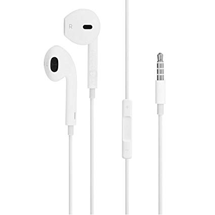 apple earbuds plug in