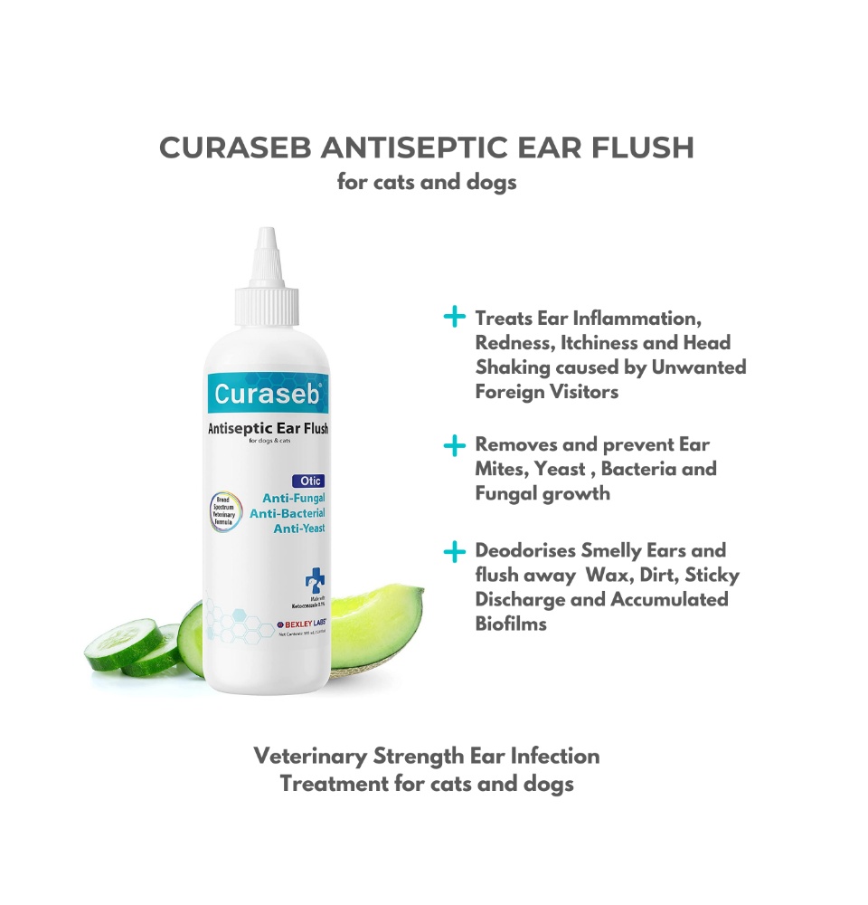 CURASEB Antiseptic Ear Flush Effective Treatment for Ear Infection Inflammation Itchiness and Discharge For both cats and dogs Lazada Singapore