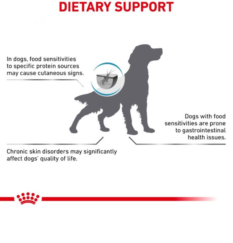 royal canin anallergenic