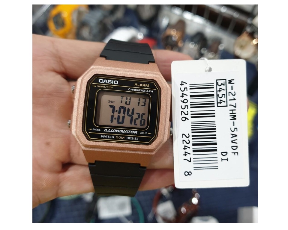 casio 3454