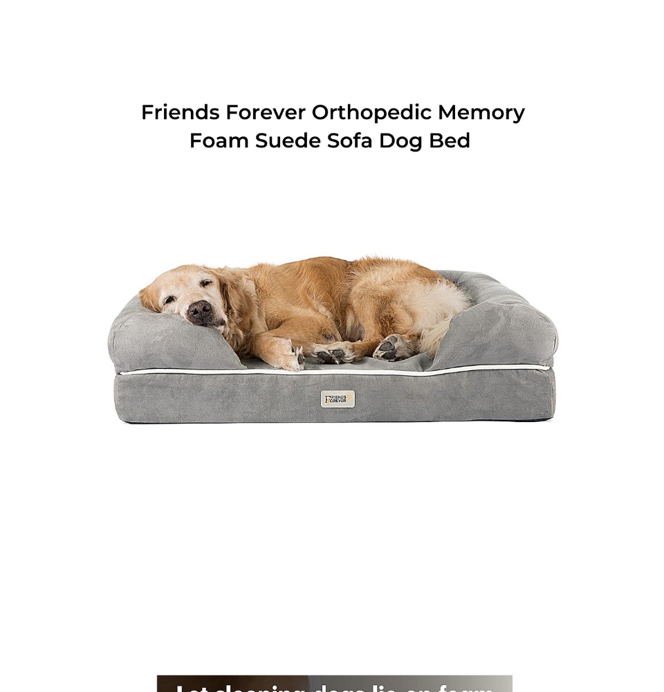 Friends forever orthopedic outlet dog bed lounge sofa